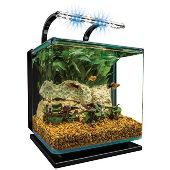 Aquarium for Desktop