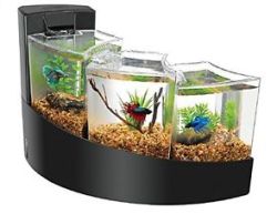 Aqueon Betta Fish Tank 