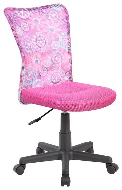 EUROSPORTS Light Pink Desk Chair