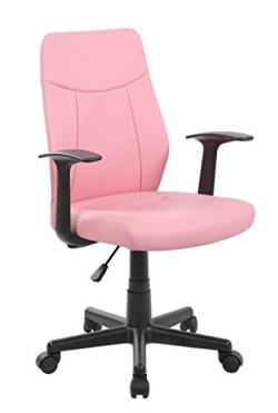 Anji Ergonomic Mid-Back Pink Office Chair