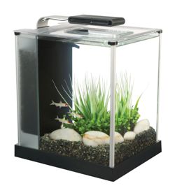 Fluval Corner Fish Tank